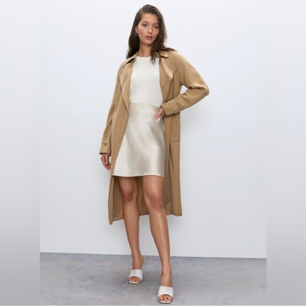 Aritzia Babaton Slip Mini Skirt in Denude Feminine Satin - Picture 1 of 9